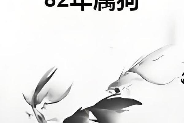 82年属狗人2025年运势完整版_2025年属狗运势及运程1994年生人
