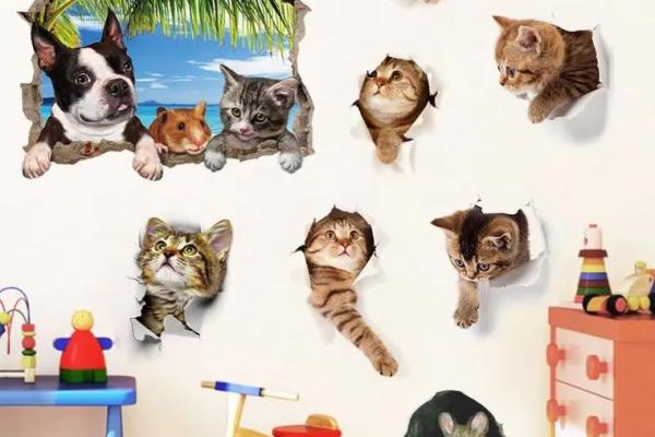 什么动物可以贴在墙上