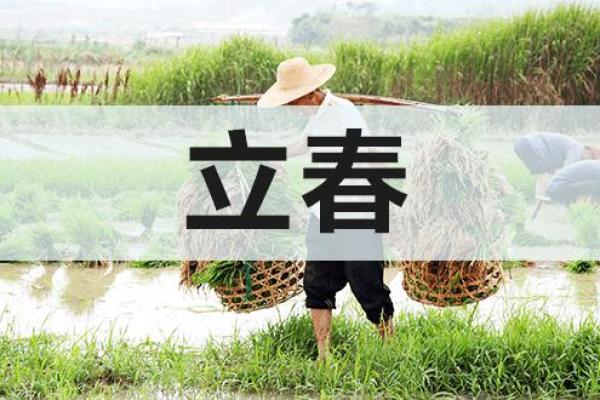 2022年几点立春 2022年几点立春