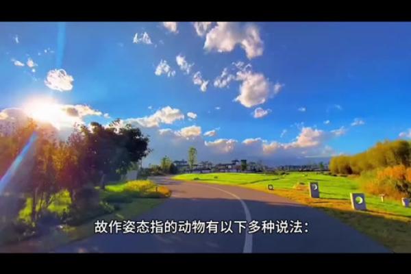 誓无二心打一准确生肖(誓无二心打一准确生肖动物)