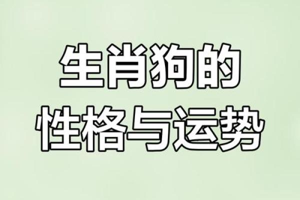 1982的狗是什么命 五行属什么 1982年属狗五行属什么命运解析与运势指南 1982的狗是什么命 五行属什么 1982年属狗五行属什么命运解析与运势指南