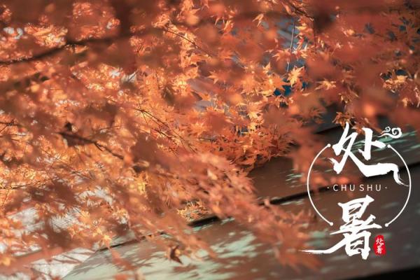 2020年处暑 2020年处暑