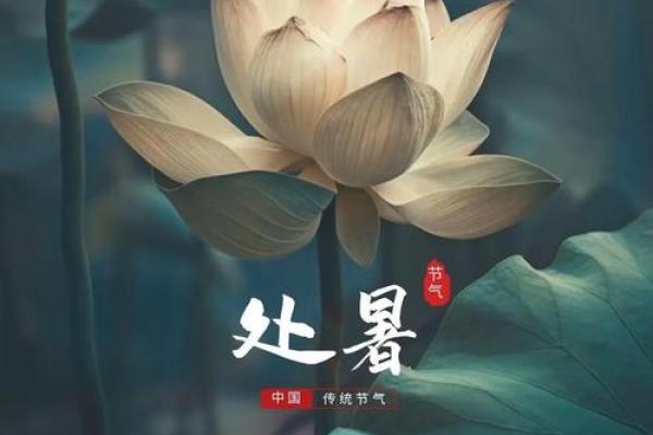 2020年处暑 2020年处暑