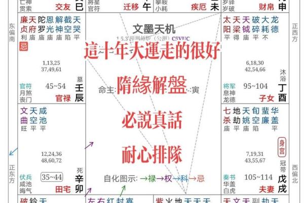 2025年4月24日午时男命紫微斗数全解盘