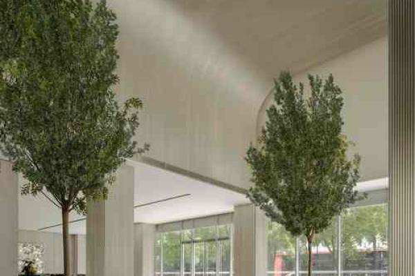 山鸣谷应打一生肖(山鸣谷应什么意思)