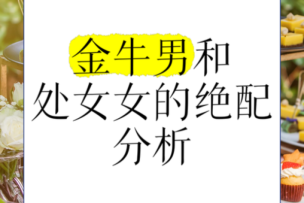 金牛座和处女座的关系怎么样
