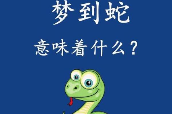 梦到吃蛇