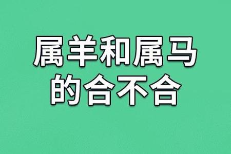 属羊男和属马女的适合做夫妻吗_男羊女马结婚的大忌