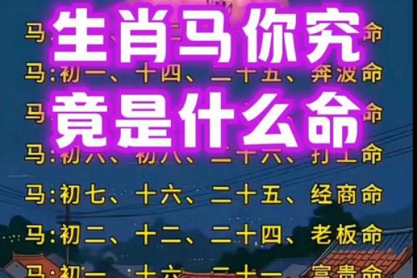 属马人出生日的命运 属马人出生日的命运怎么样