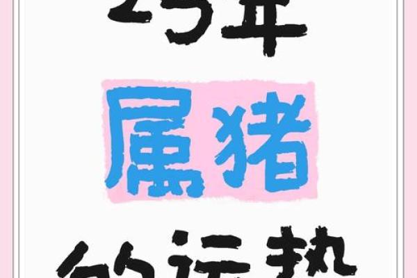 2026年属猪的全年运势 2026年属猪人全年运势详解财运事业爱情全解析