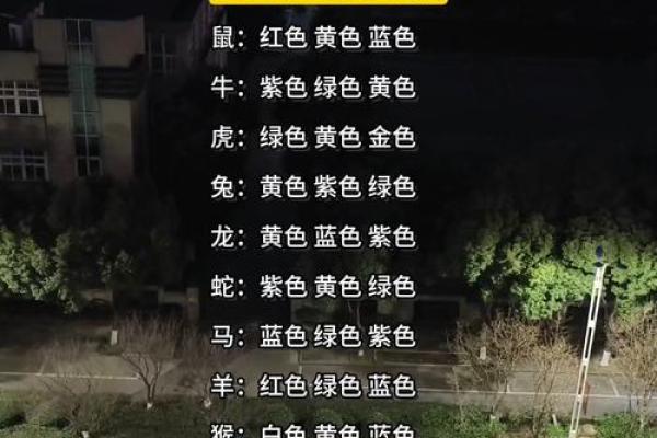 属马的幸运色是什么颜色2025年_属马幸运色一生的幸运色