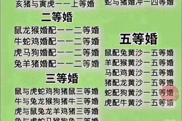 2002年属马和什么生肖最配对_2002年属马最佳婚配生肖揭秘哪几个属相最合适