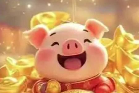 属猪2025最佳婚期(属猪的2022年有婚变吗)