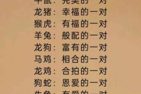 99年属兔女的最佳结婚年龄,1999年属兔婚配男人