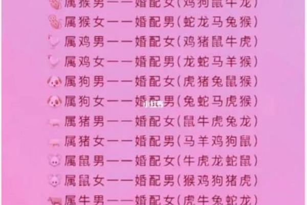 2025年属猪的几月结婚最佳 95年属猪的最佳配偶