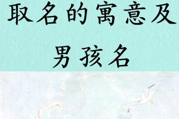 用什么字给晚上11点出生的属猴男孩取名字合适姓名
