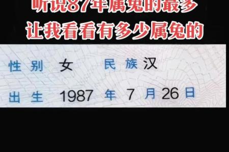 1999年属兔最佳结婚年龄