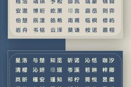 2019年4月29号卯时出生的男孩如何起名姓名