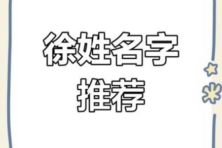 徐姓男孩名字大全-徐姓男孩起名字大全-徐姓名字大全姓名