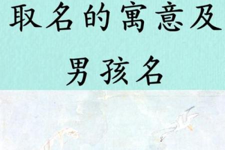 用什么字给晚上11点出生的属猴男孩取名字合适姓名