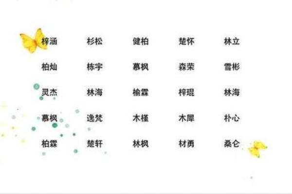 2019年4月27号卯时出生的男孩要怎么起名字姓名