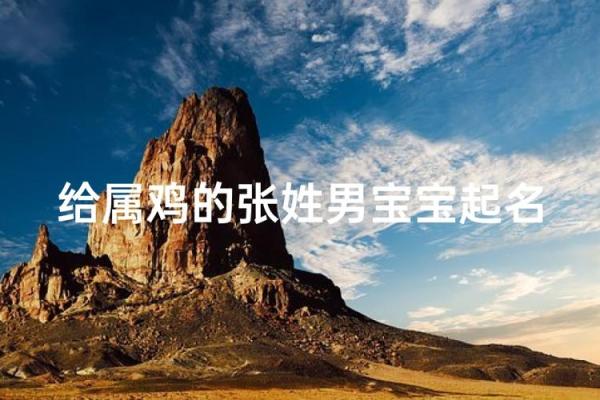 下午出生的属鸡男孩宜用什么字起名字姓名 下午出生的属鸡男孩宜用什么字起名字姓名