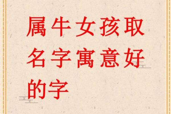 给晚上8点出生的属牛男孩起名用什么字好姓名