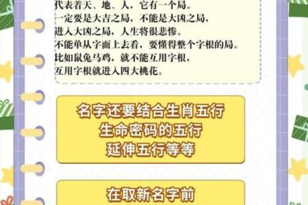2019年6月28号卯时出生的男孩应该起什么样的名字姓名