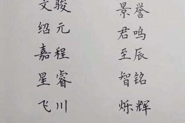 属狗亥时出生的男孩怎样起名,宜用哪些姓名 属狗亥时出生的男孩怎样起名,宜用哪些姓名