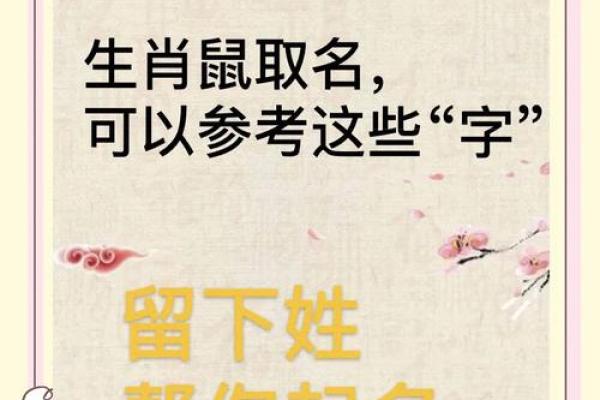 凌晨3点出生的属鼠男孩起什么名字合适姓名