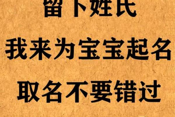 晚上8点出生的属鼠男孩的取名技巧姓名