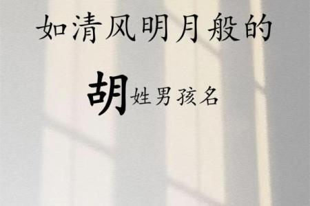 2019年6月16号卯时出生的男孩起名方法姓名
