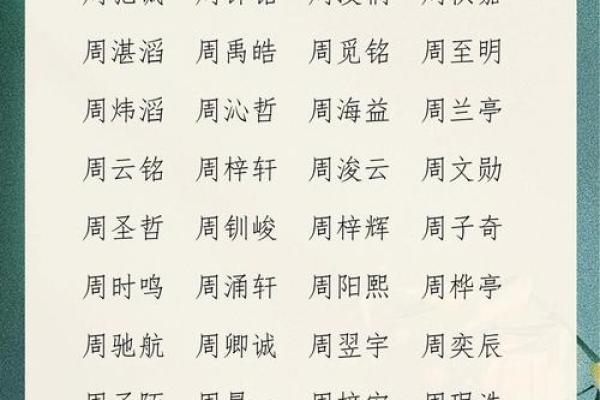 属鸡未时出生的男孩如何起名，宜用什么字姓名