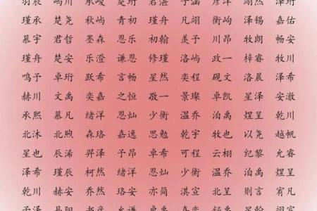 2019年5月17号丑时出生的男孩应该起什么样的名字姓名