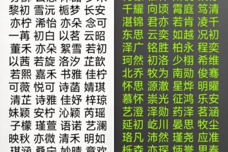 2019年6月11号卯时出生的男孩起名方法姓名