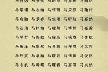 属鼠丑时的男孩应该怎样取名字，宜用哪些字姓名