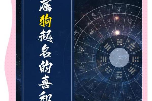 下午四点出生的属狗男孩怎么取名，用什么字好姓名