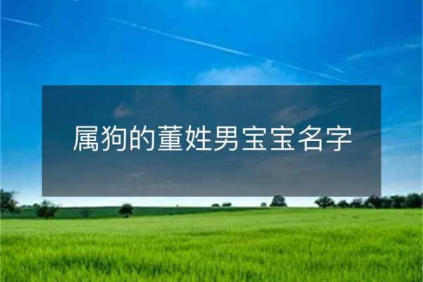 下午四点出生的属狗男孩怎么取名，用什么字好姓名