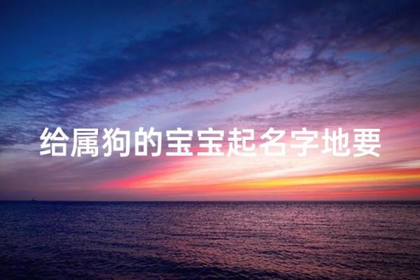 一月份出生的属狗男孩如何取名字姓名