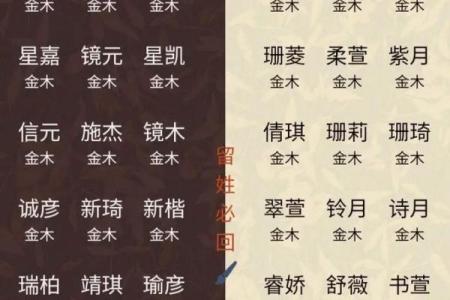 2019年3月31号卯时出生的男孩要怎么起名字姓名