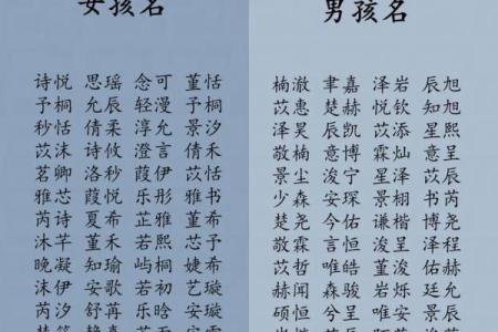 2019年3月17号子时出生的男孩要怎么起名字姓名