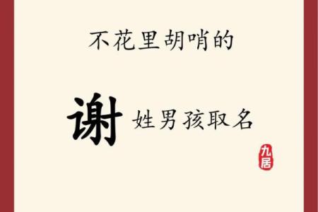 2019年3月30号亥时出生的男孩起名方法姓名