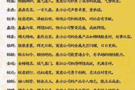 进出口公司起名大全-名字大全-姓名学-华易算命网姓名