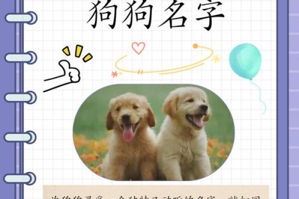 4月份出生的属狗男孩起什么名字好姓名 4月份出生的属狗男孩起什么名字好姓名