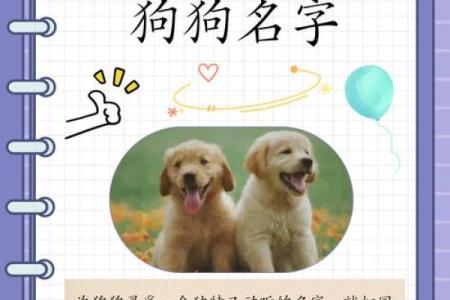 4月份出生的属狗男孩起什么名字好姓名