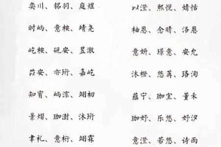 2019年3月25号巳时出生的男孩起名方法姓名