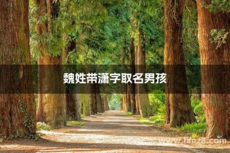 魏姓男孩名字大全-魏姓男孩起名字大全-魏姓名字大全姓名