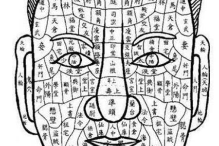 姓乐正的名人-姓名学-华易算命网姓名