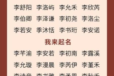 2019年5月29号卯时出生的男孩应该起什么样的名字姓名