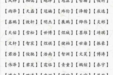 属猪巳时出生的男孩如何取名字，适合用什么字姓名